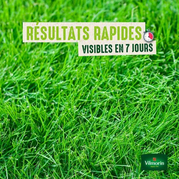 7 jours, pousse rapide - Gazon 7 jours - 250 g - image